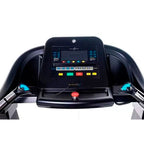 BANDA TROTADORA TOULUOSE - 72037